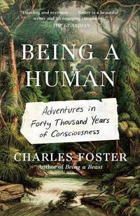 Cover image for Being a Human: Adventures in Forty Thousand Years of Consciousness