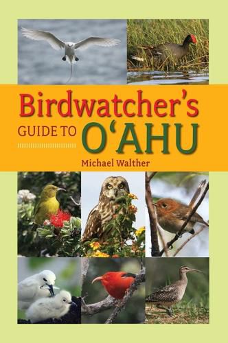 Cover image for Birdwatcher's Guide to O'Ahu