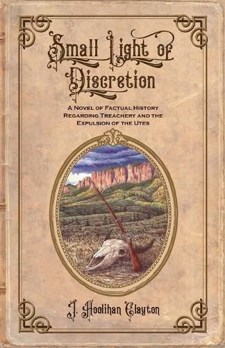 Cover image for Small Light Of Discretion