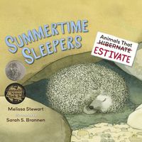 Cover image for Summertime Sleepers