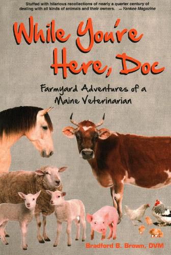 Cover image for While You're Here, Doc