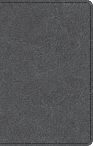 Cover image for NASB Personal Size Bible, Charcoal Leathertouch