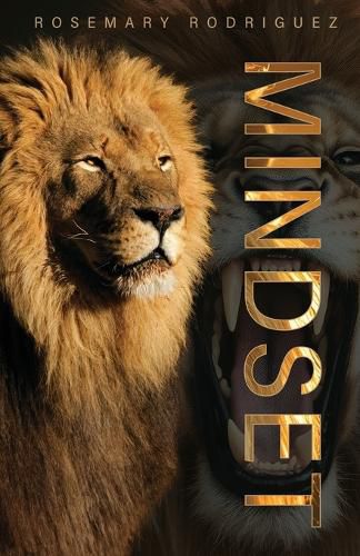 Cover image for Mindset