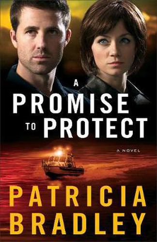 Cover image for A Promise to Protect - A Novel