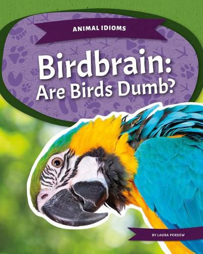 Birdbrain: Are Birds Dumb?: Are Birds Dumb?