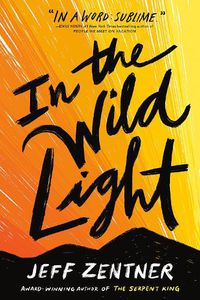 Cover image for In the Wild Light