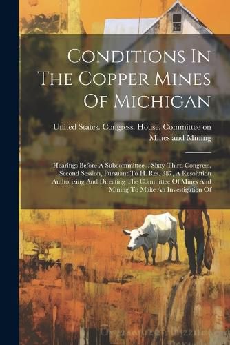 Cover image for Conditions In The Copper Mines Of Michigan