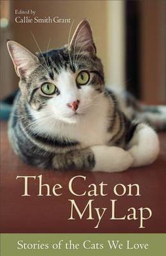 Cover image for The Cat on My Lap - Stories of the Cats We Love