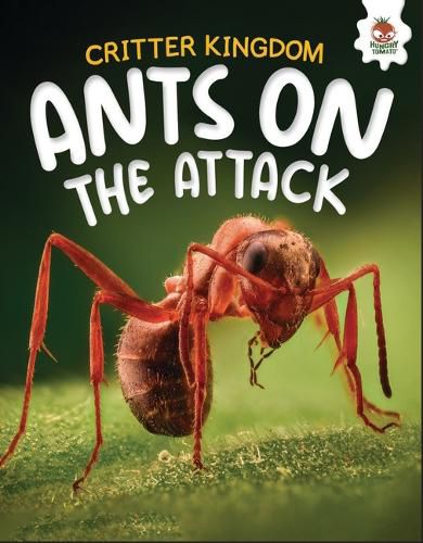 Cover image for Ants on the Attack