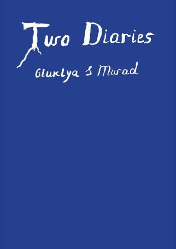 Cover image for Two Diaries