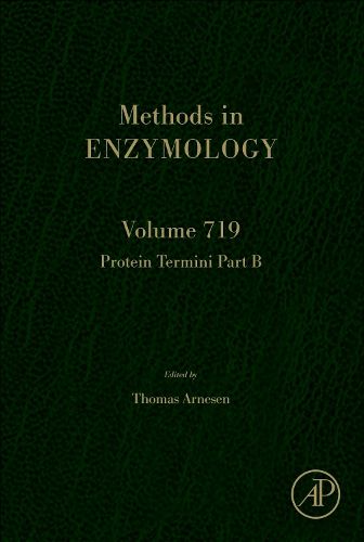 Cover image for Protein Termini Part B: Volume 719