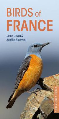 Cover image for Birds of France