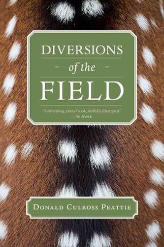 Cover image for Diversions of the Field