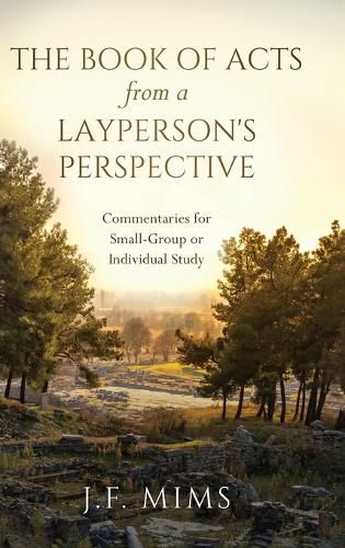 Cover image for The Book of Acts from a Layperson's Perspective: Commentaries for Small-Group or Individual Study