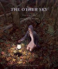 Cover image for The Other Sky