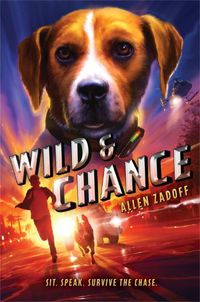 Cover image for Wild & Chance