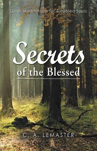 Cover image for Secrets of the Blessed: Quiet Meditations for Troubled Souls