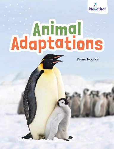 Cover image for Animal Adaptations
