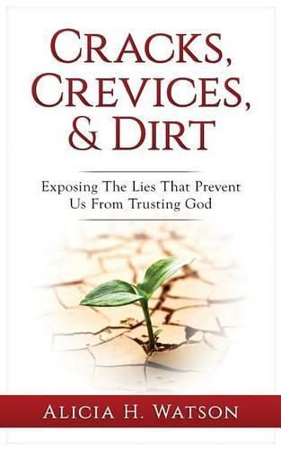 Cover image for Cracks, Crevices, and Dirt: Exposing the Lies That Prevent Us From Trusting God