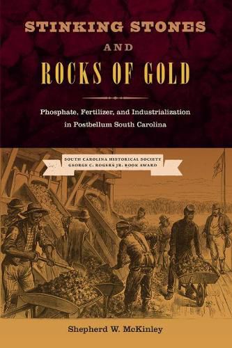 Cover image for Stinking Stones and Rocks of Gold: Phosphate, Fertilizer, and Industrialization in Postbellum South Carolina