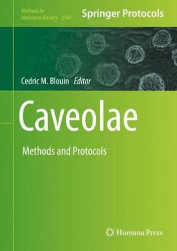 Cover image for Caveolae: Methods and Protocols