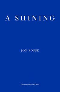 Cover image for A Shining