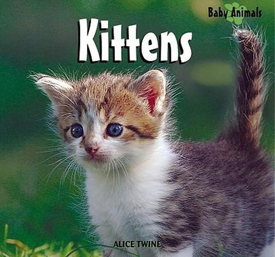 Cover image for Kittens