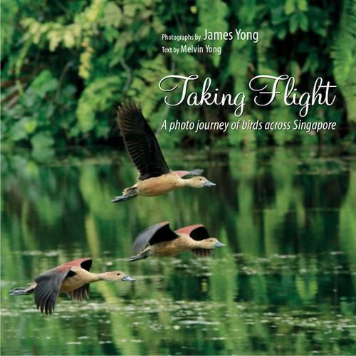 Cover image for Taking Flight: A Photo Journey of Birds Across Singapore