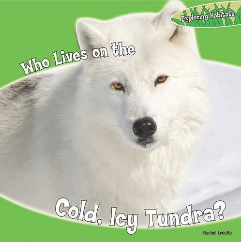 Cover image for Who Lives on the Cold, Icy Tundra?