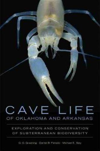 Cover image for Cave Life of Oklahoma and Arkansas: Exploration and Conservation of Subterranean Biodiversity