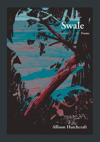 Cover image for Swale