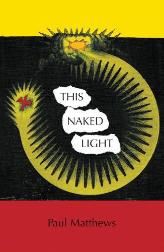 Cover image for This Naked Light