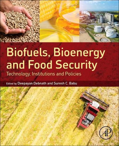 Cover image for Biofuels, Bioenergy and Food Security: Technology, Institutions and Policies