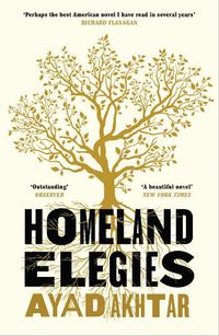 Cover image for Homeland Elegies