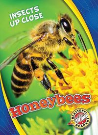 Cover image for Honeybees