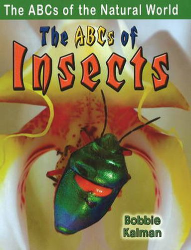 Cover image for The ABCs of Insects