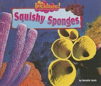 Cover image for Squishy Sponges