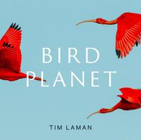 Cover image for Bird Planet: A Photographic Journey
