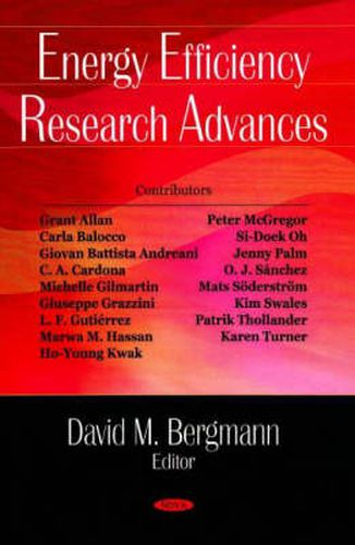 Cover image for Energy Efficiency Research Advances