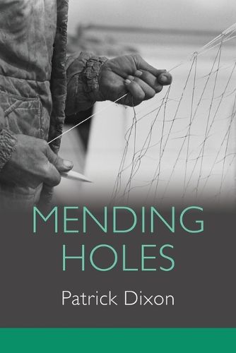 Cover image for Mending Holes