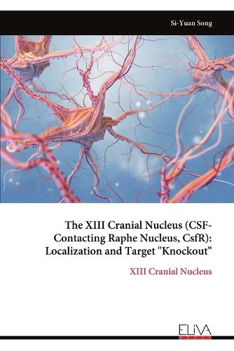 Cover image for The XIII Cranial Nucleus (CSF-Contacting Raphe Nucleus, CsfR)