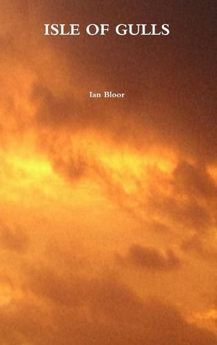 Cover image for Isle of Gulls