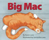 Cover image for Big Mac