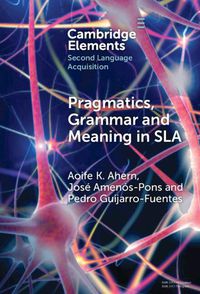 Cover image for Pragmatics, Grammar and Meaning in SLA