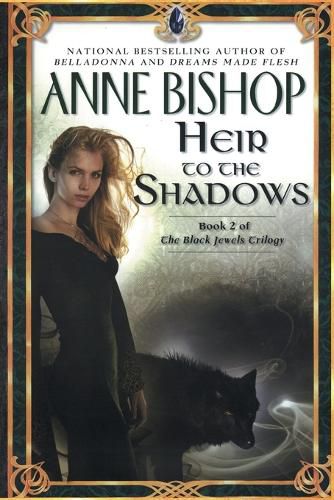 Cover image for Heir to the Shadows