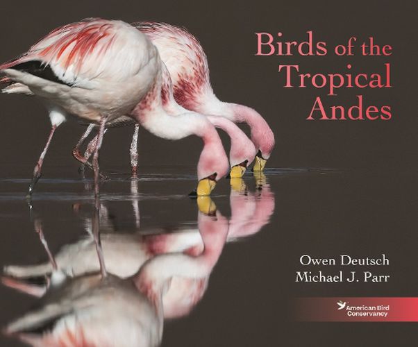 Cover image for Birds of the Tropical Andes