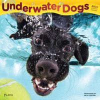 Cover image for Underwater Dogs 2020 Square Plato Foil