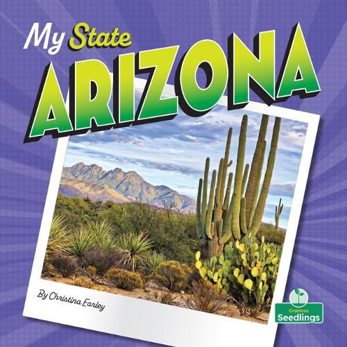 Cover image for Arizona