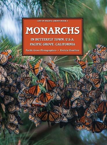 Cover image for MONARCHS In Butterfly Town U.S.A., Pacific Grove, California