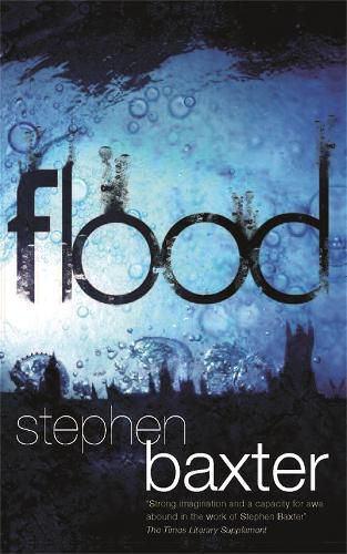 Cover image for Flood